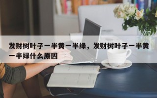 发财树叶子一半黄一半绿，发财树叶子一半黄一半绿什么原因