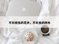 不长蚜虫的花木，不长虫的树木