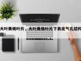 大叶黄杨叶片，大叶黄杨叶片下表皮气孔结构图！