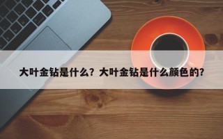 大叶金钻是什么?大叶金钻是什么颜色的? 大叶金钻是什么?大叶金钻是什么颜色的?
