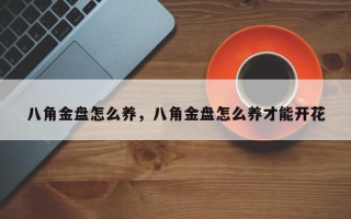八角金盘怎么养，八角金盘怎么养才能开花