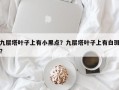 九层塔叶子上有小黑点？九层塔叶子上有白斑？