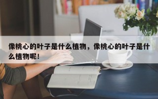 像桃心的叶子是什么植物，像桃心的叶子是什么植物呢！