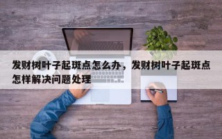 发财树叶子起斑点怎么办，发财树叶子起斑点怎样解决问题处理