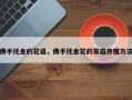 佛手托金的花语，佛手托金花的家庭养殖方法