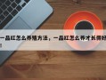 一品红怎么养殖方法，一品红怎么养才长得好！