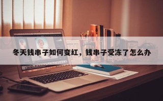 冬天钱串子如何变红，钱串子受冻了怎么办