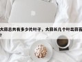 大蒜总共有多少片叶子，大蒜长几个叶出蒜苔？