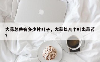 大蒜总共有多少片叶子，大蒜长几个叶出蒜苔？