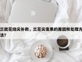 兰就花烧尖补救，兰花尖变黑的原因和处理方法？