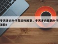 冬天多肉叶子发软咋回事，冬天多肉植物叶子发软！