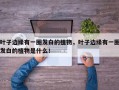 叶子边缘有一圈发白的植物，叶子边缘有一圈发白的植物是什么！