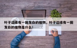 叶子边缘有一圈发白的植物，叶子边缘有一圈发白的植物是什么！