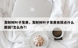 发财树叶子发黑，发财树叶子发黑有斑点什么原因?怎么办?！