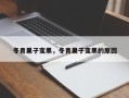 冬青果子变黑，冬青果子变黑的原因