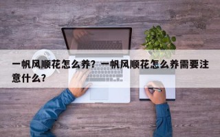 一帆风顺花怎么养？一帆风顺花怎么养需要注意什么？