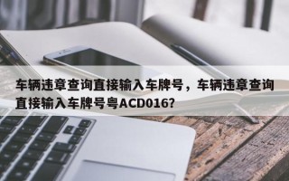 车辆违章查询直接输入车牌号，车辆违章查询直接输入车牌号粤ACD016？