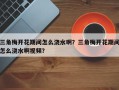 三角梅开花期间怎么浇水啊？三角梅开花期间怎么浇水啊视频？
