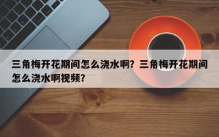 三角梅开花期间怎么浇水啊？三角梅开花期间怎么浇水啊视频？