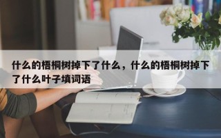 什么的梧桐树掉下了什么，什么的梧桐树掉下了什么叶子填词语