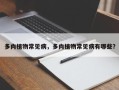 多肉植物常见病，多肉植物常见病有哪些？
