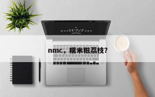 nmc，糯米糍荔枝？