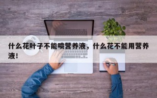 什么花叶子不能喷营养液，什么花不能用营养液！