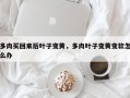 多肉买回来后叶子变黄，多肉叶子变黄变软怎么办