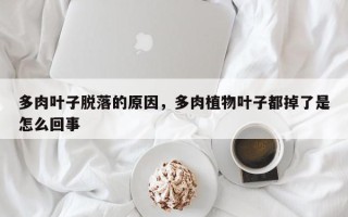 多肉叶子脱落的原因，多肉植物叶子都掉了是怎么回事