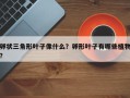 卵状三角形叶子像什么？卵形叶子有哪些植物？