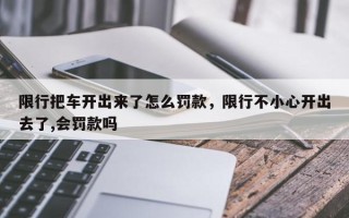 限行把车开出来了怎么罚款，限行不小心开出去了,会罚款吗