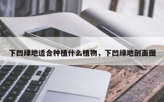 下凹绿地适合种植什么植物，下凹绿地剖面图
