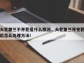 大花蕙兰不开花是什么原因，大花蕙兰开完花后怎么处理方法！