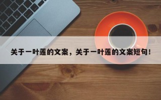 关于一叶莲的文案，关于一叶莲的文案短句！