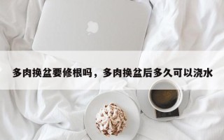 多肉换盆要修根吗，多肉换盆后多久可以浇水