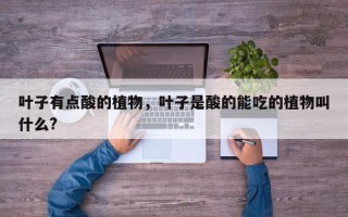 叶子有点酸的植物，叶子是酸的能吃的植物叫什么?