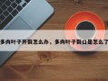 多肉叶子开裂怎么办，多肉叶子裂口是怎么了
