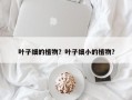 叶子细的植物？叶子细小的植物？