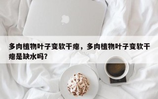 多肉植物叶子变软干瘪，多肉植物叶子变软干瘪是缺水吗？