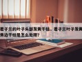 君子兰的叶子头部发黄干枯，君子兰叶子发黄焦边干枯是怎么处理？