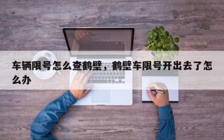 车辆限号怎么查鹤壁，鹤壁车限号开出去了怎么办
