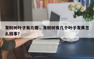 发财树叶子有几瓣，发财树有几个叶子发黄怎么回事？