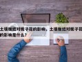 土壤板结对栀子花的影响，土壤板结对栀子花的影响是什么？