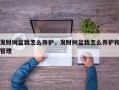 发财树盆栽怎么养护，发财树盆栽怎么养护和管理