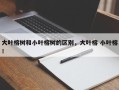 大叶榕树和小叶榕树的区别，大叶榕 小叶榕！