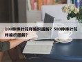 100种棒针花样编织图解？500种棒针花样编织图解？