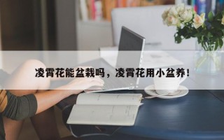凌霄花能盆栽吗，凌霄花用小盆养！