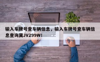 输入车牌号查车辆信息，输入车牌号查车辆信息查询冀JV299W！
