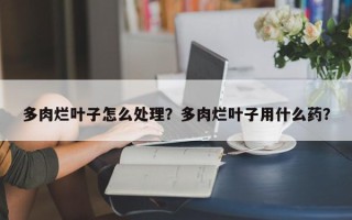 多肉烂叶子怎么处理？多肉烂叶子用什么药？
