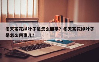 冬天茶花掉叶子是怎么回事？冬天茶花掉叶子是怎么回事儿？